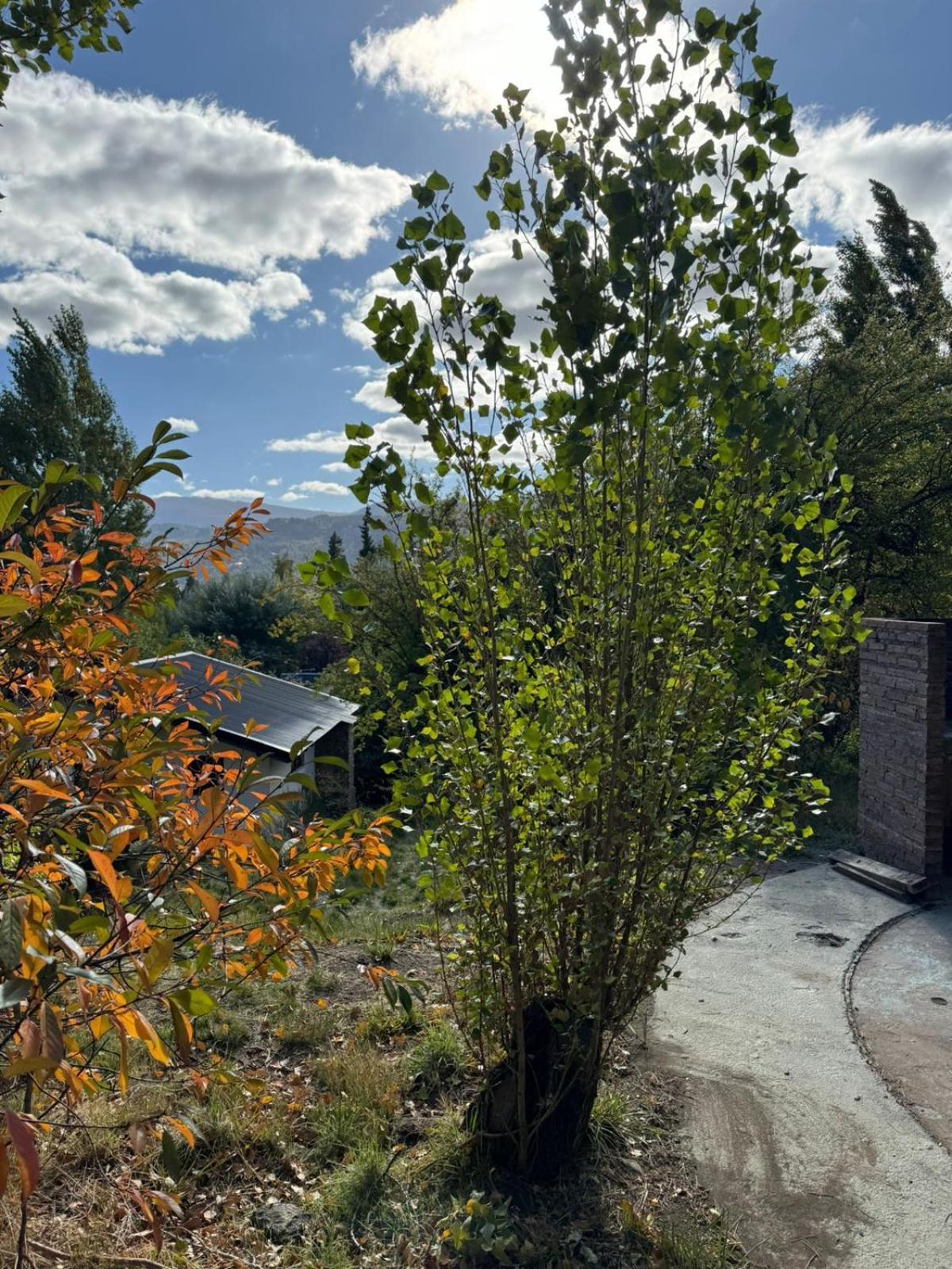 Huilen De Bandurrias Villa San Martín de los Andes Exterior photo