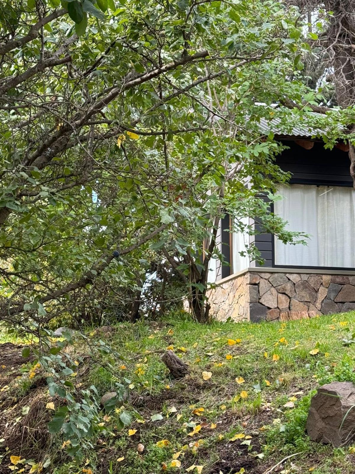 Huilen De Bandurrias Villa San Martín de los Andes Exterior photo